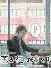 哈比 超越者形象